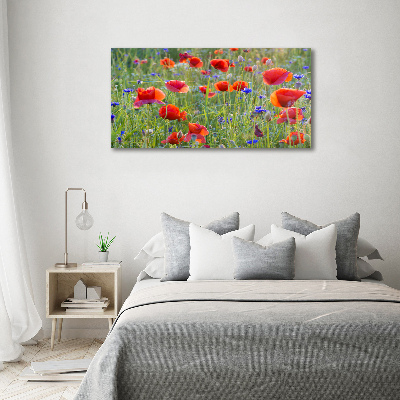 Foto canvas Wilde bloemen