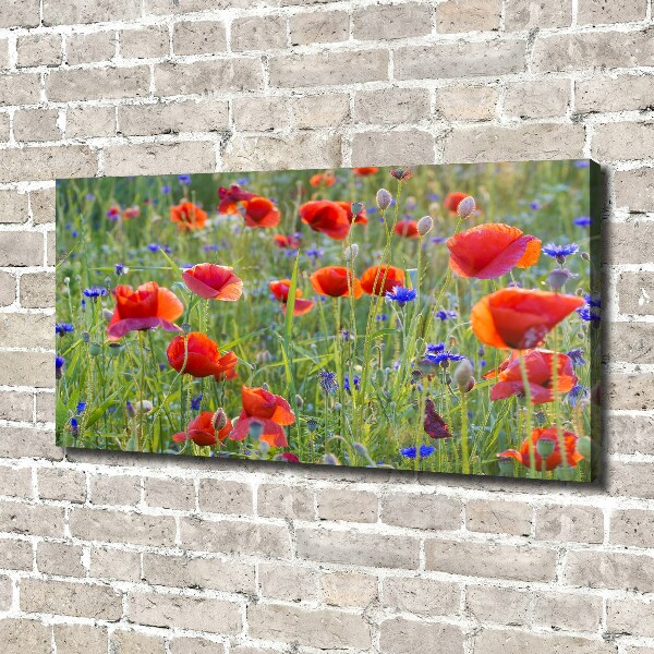 Foto canvas Wilde bloemen