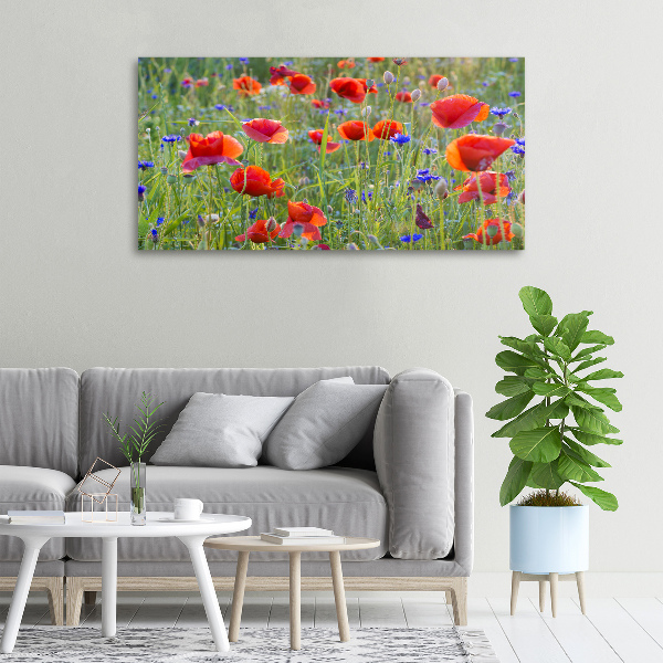 Foto canvas Wilde bloemen