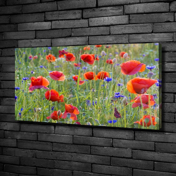 Foto canvas Wilde bloemen