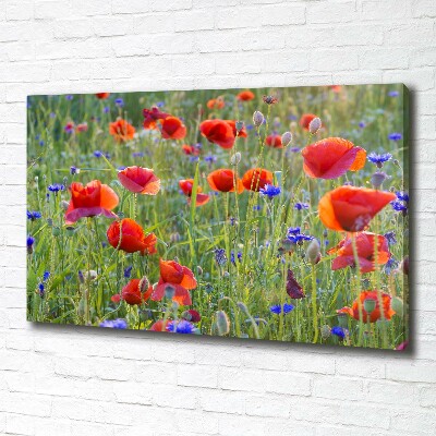 Foto canvas Wilde bloemen
