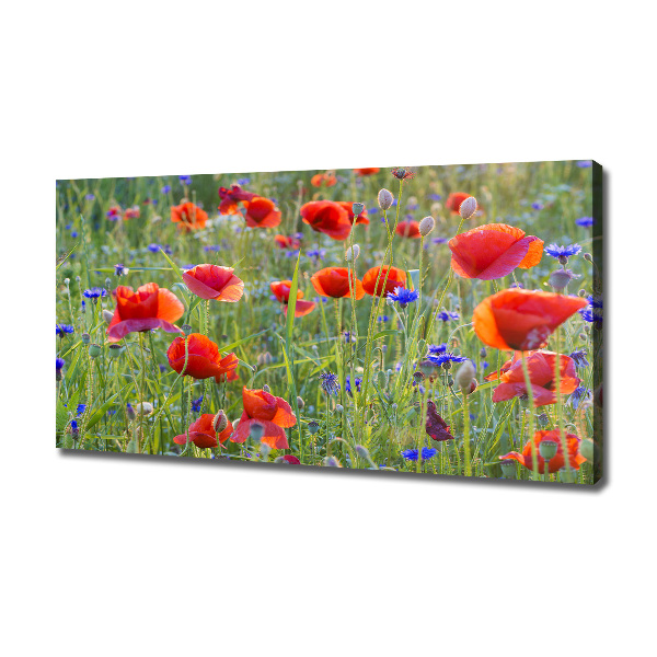 Foto canvas Wilde bloemen