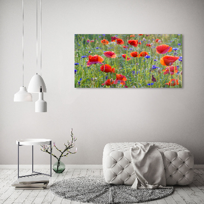 Foto canvas Wilde bloemen