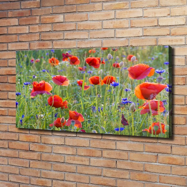 Foto canvas Wilde bloemen