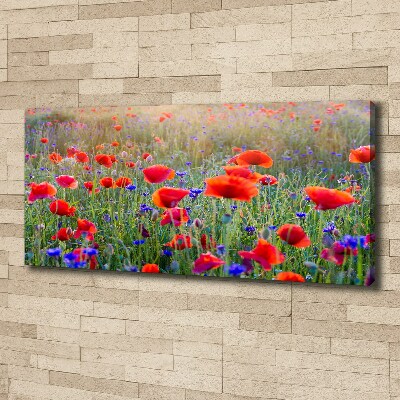 Foto op canvas Wilde bloemen