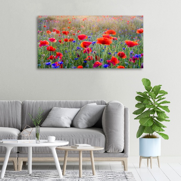 Foto op canvas Wilde bloemen