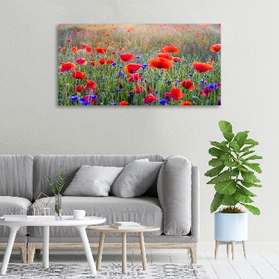 Foto op canvas Wilde bloemen