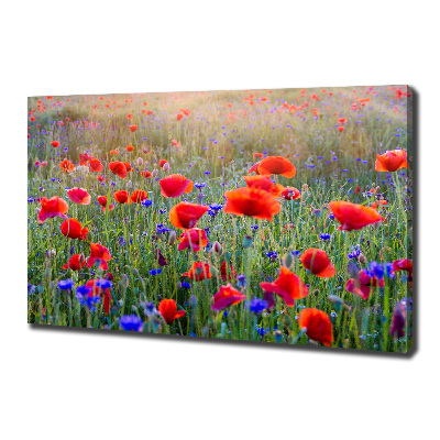 Foto op canvas Wilde bloemen