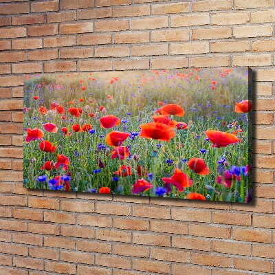 Foto op canvas Wilde bloemen
