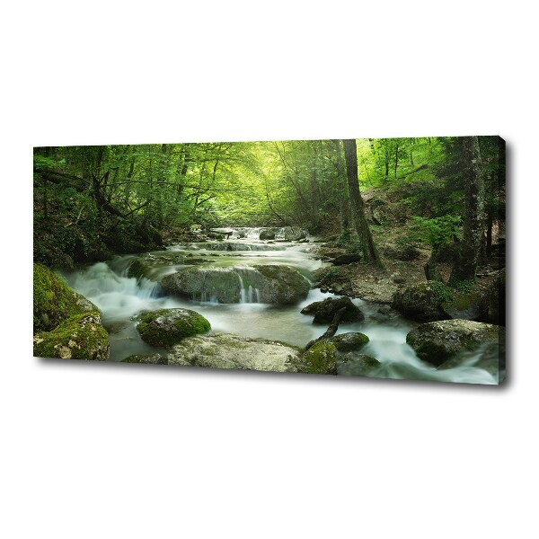 Foto canvas Waterval in het bos