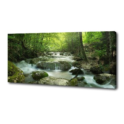 Foto canvas Waterval in het bos