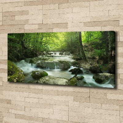Foto canvas Waterval in het bos
