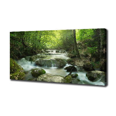 Foto canvas Waterval in het bos