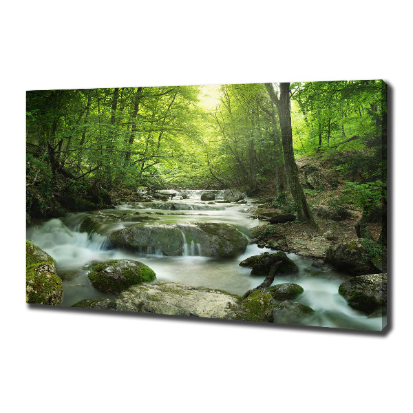 Foto canvas Waterval in het bos