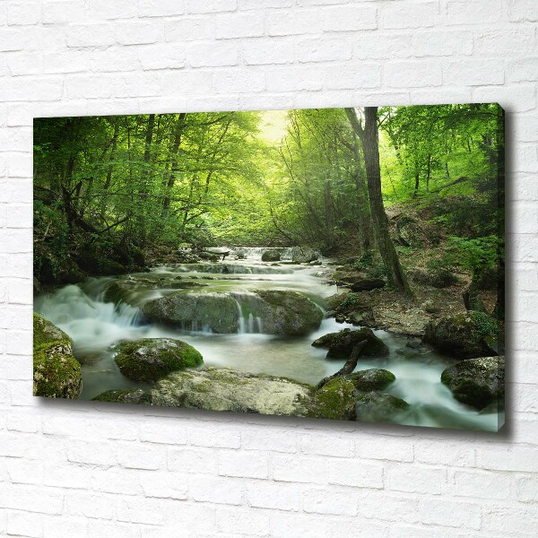 Foto canvas Waterval in het bos