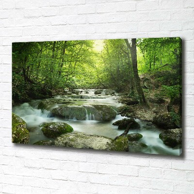 Foto canvas Waterval in het bos