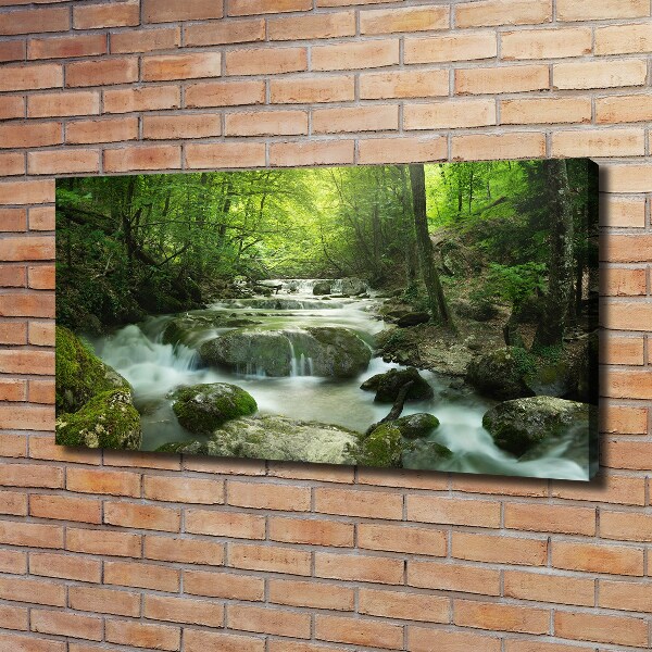 Foto canvas Waterval in het bos