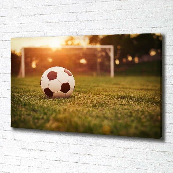 Foto canvas De bal op het veld