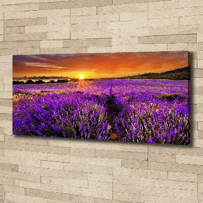 Foto canvas Lavendelveld