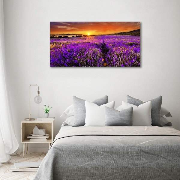 Foto canvas Lavendelveld