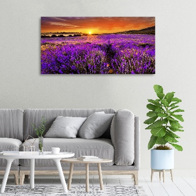Foto canvas Lavendelveld