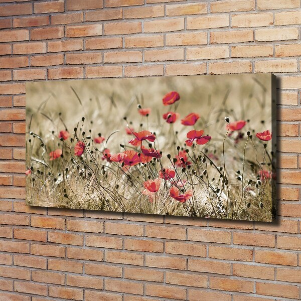 Canvas schilderij Klaprozen