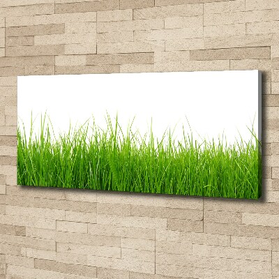 Schilderij op canvas Gras