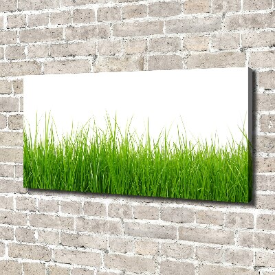 Schilderij op canvas Gras