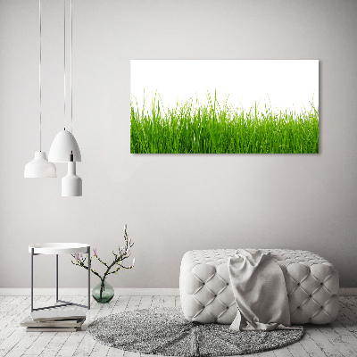 Schilderij op canvas Gras