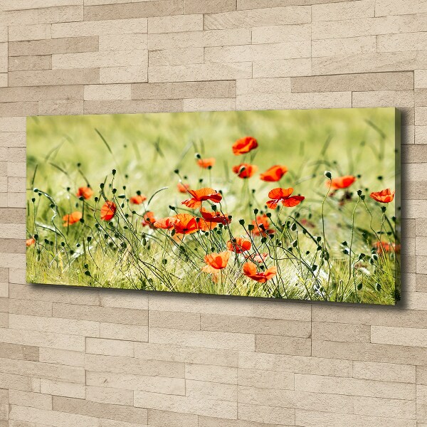 Foto op canvas Klaprozen