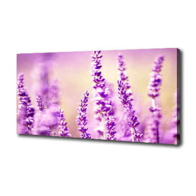 Canvas foto Lavendel