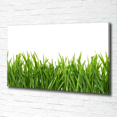 Canvas schilderij Gras