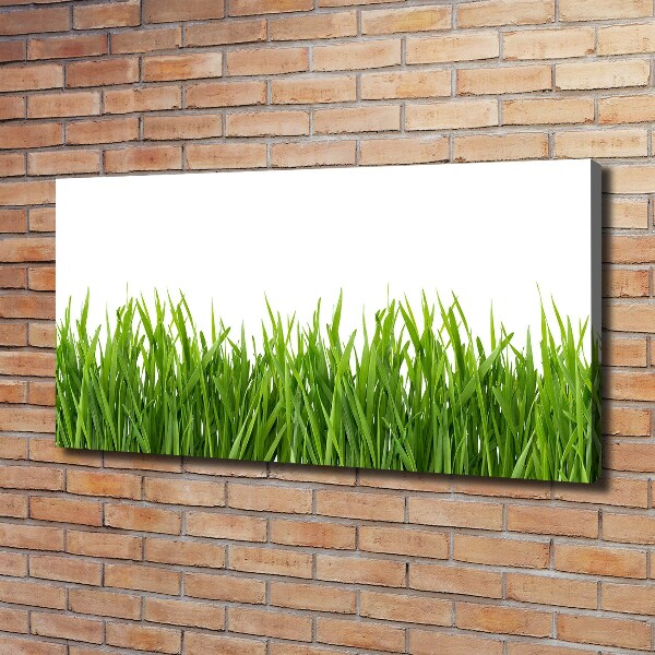 Canvas schilderij Gras