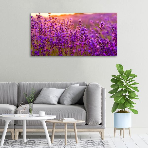 Schilderij op canvas Lavendelveld