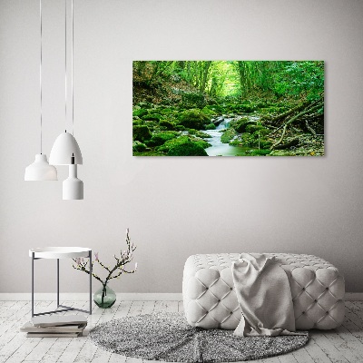 Foto canvas Een beekje in het bos