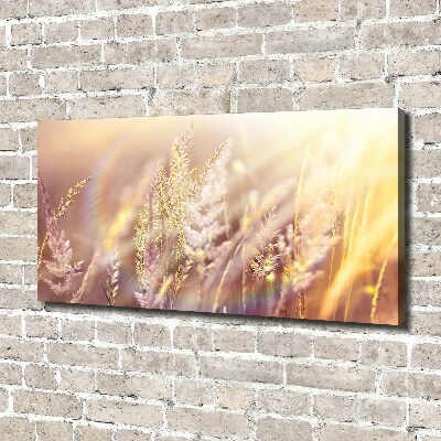 Foto op canvas Hoog gras