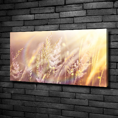 Foto op canvas Hoog gras