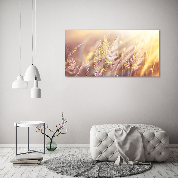 Foto op canvas Hoog gras