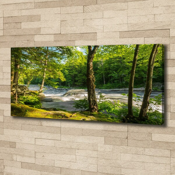 Canvas foto Rivier in het bos