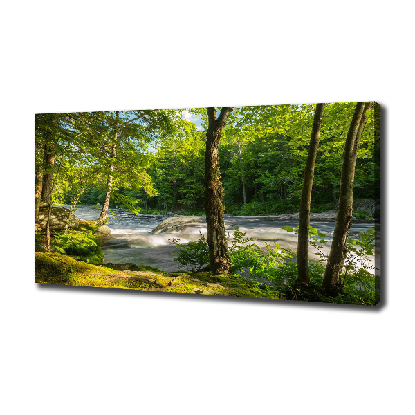 Canvas foto Rivier in het bos