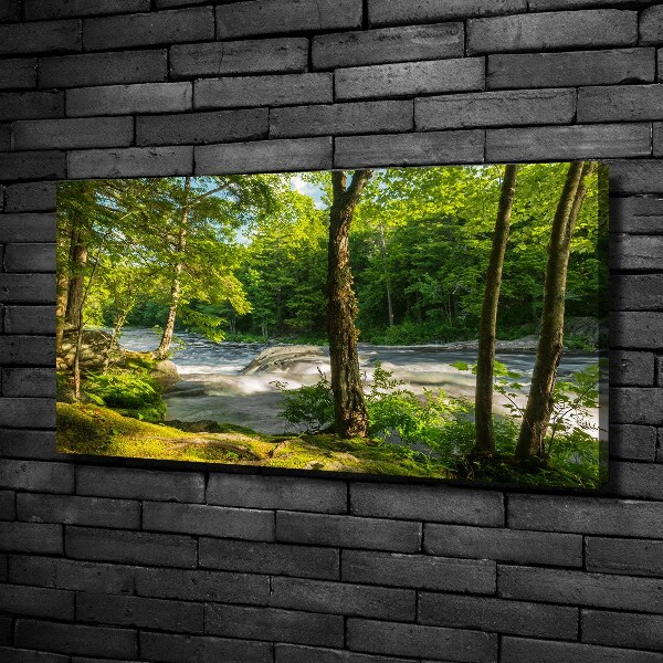 Canvas foto Rivier in het bos
