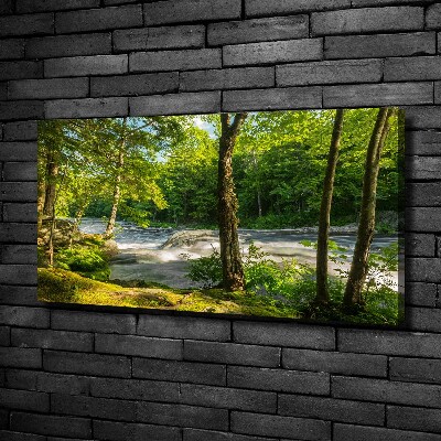 Canvas foto Rivier in het bos