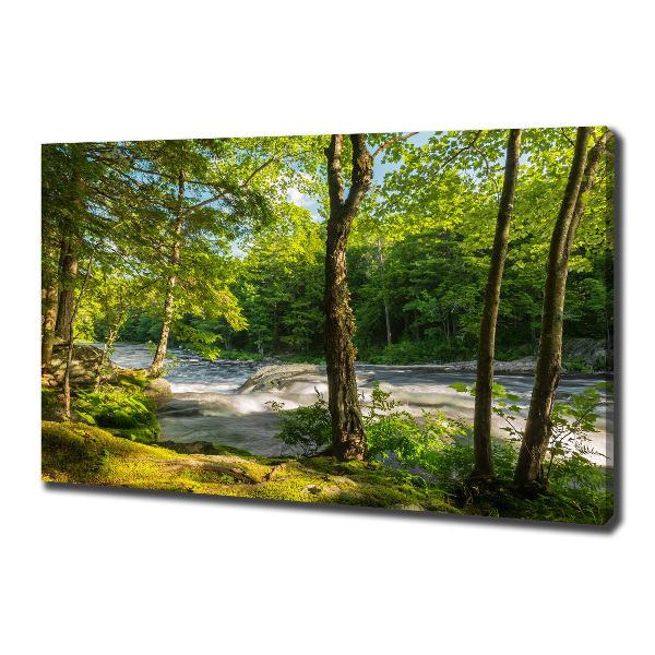 Canvas foto Rivier in het bos