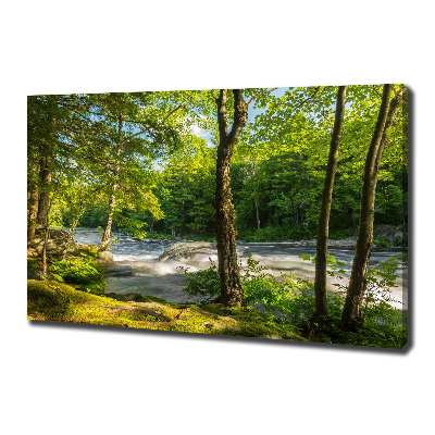Canvas foto Rivier in het bos