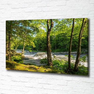 Canvas foto Rivier in het bos