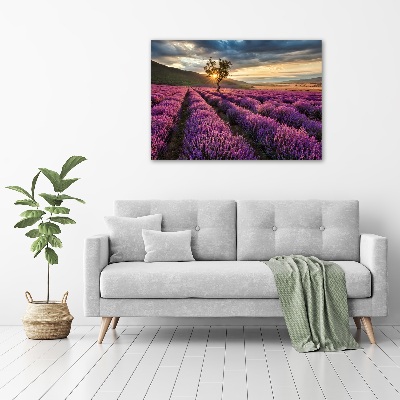 Schilderij op canvas Lavendelveld