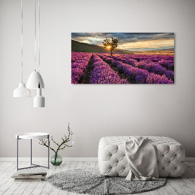 Schilderij op canvas Lavendelveld