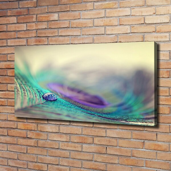 Canvas schilderij Een druppel op een veer