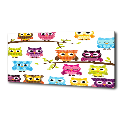Foto op canvas Kleurrijke uilen