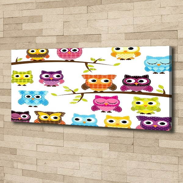 Foto op canvas Kleurrijke uilen
